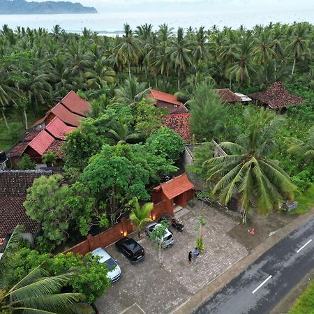 Java Turtle Lodge Meru Betiri Banyuwangi  Exterior foto