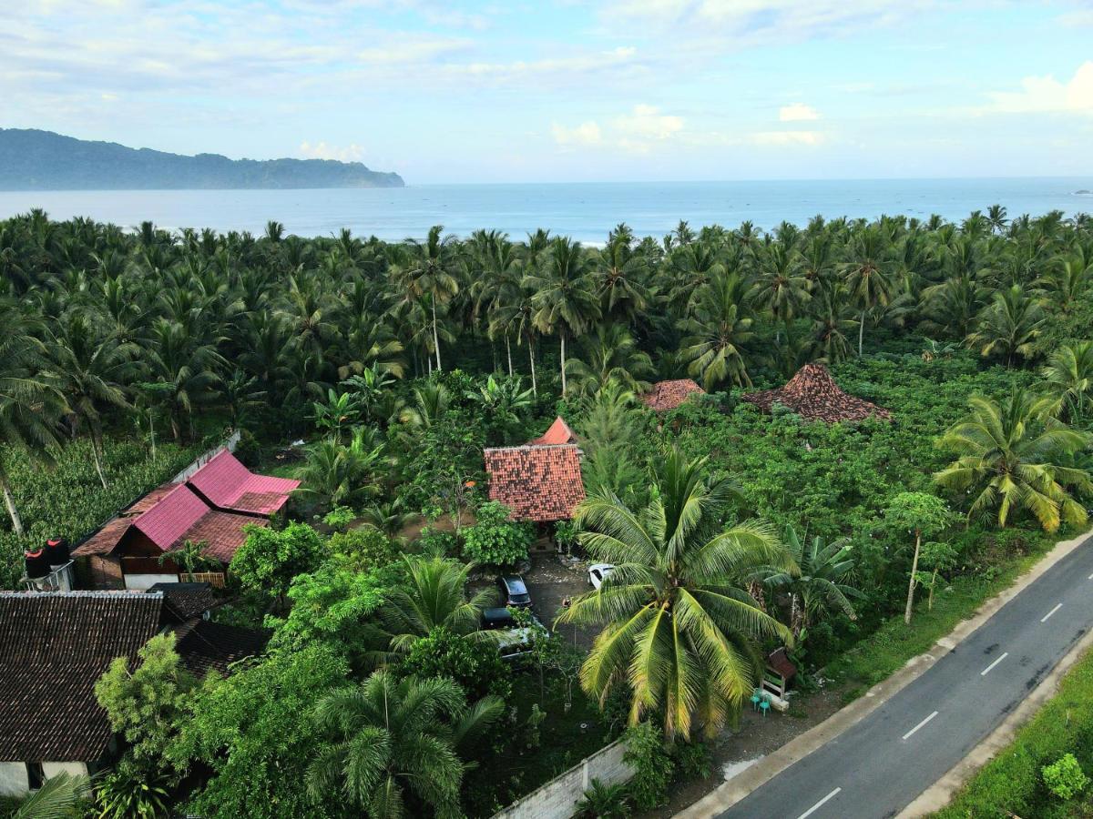 Java Turtle Lodge Meru Betiri Banyuwangi  Exterior foto