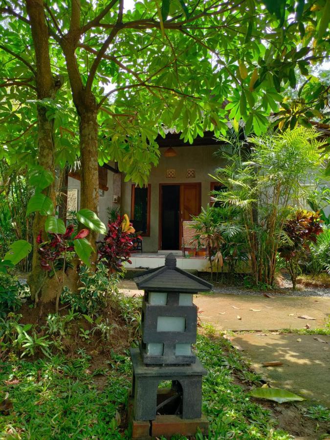 Java Turtle Lodge Meru Betiri Banyuwangi  Exterior foto