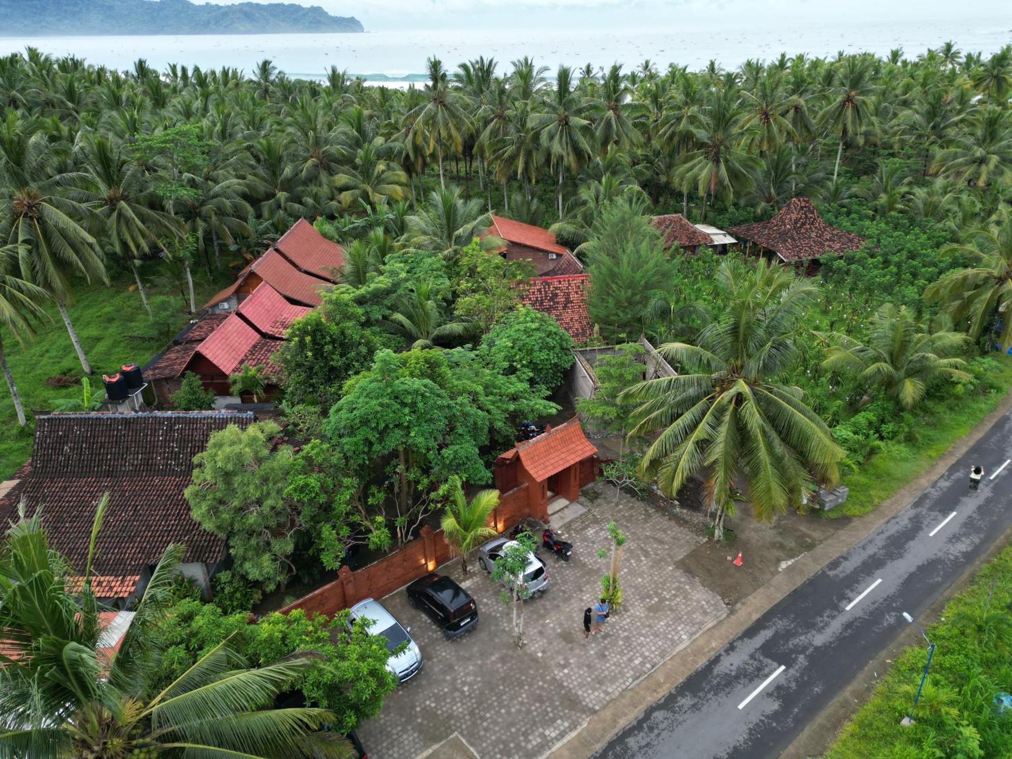Java Turtle Lodge Meru Betiri Banyuwangi  Exterior foto