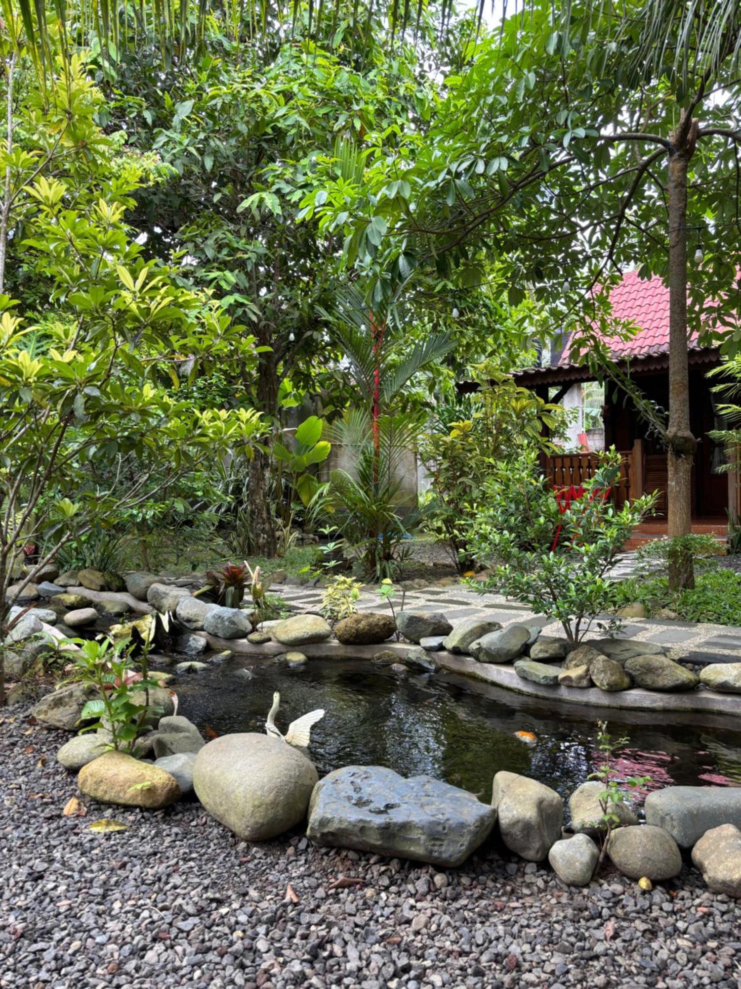 Java Turtle Lodge Meru Betiri Banyuwangi  Exterior foto
